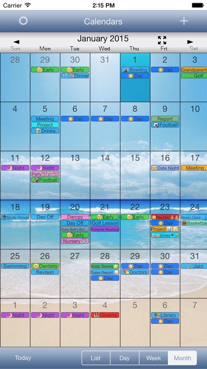 CalendarSkin