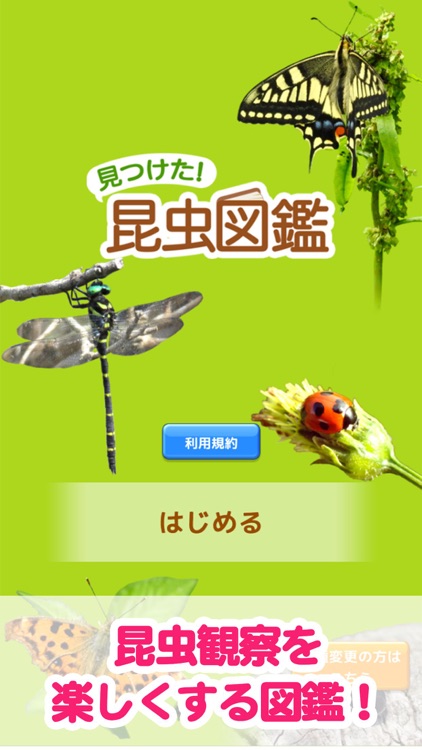見つけた 昆虫図鑑 By Kyohei Kameda