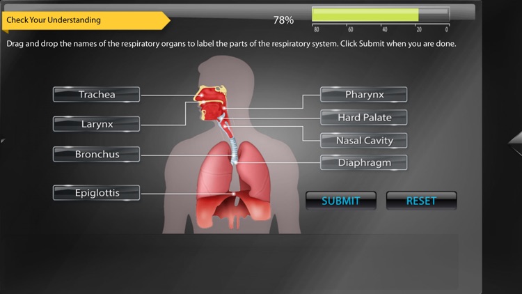 Human Anatomy for iPhone