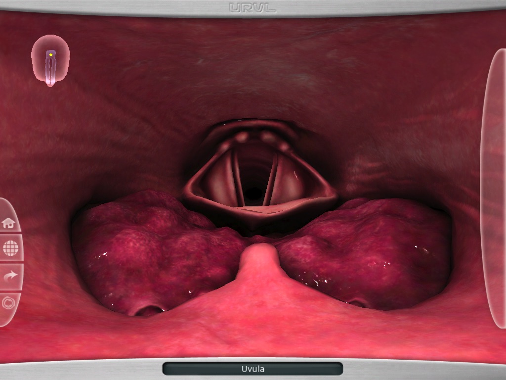 Upper Respiratory Virtual Lab screenshot 2