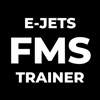 E-Jets FMS Trainer