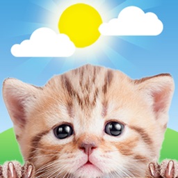 Weather Kitty: Weather + Radar