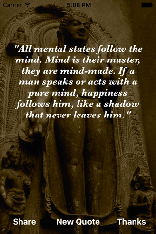 Buddha Wisdom - náhled