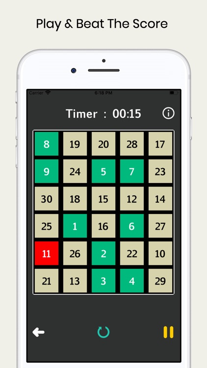 Increment Number Puzzle
