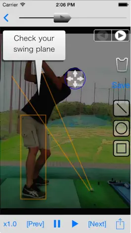 Game screenshot Swing Manager apk