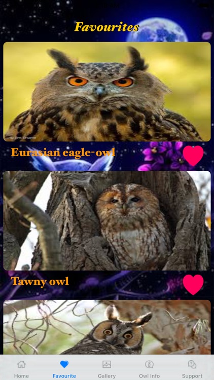 All About Owl's