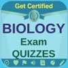 Biology Exam Review: 1660 Quiz