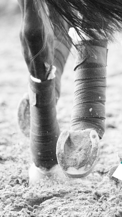Equilab Equestrian Tracker