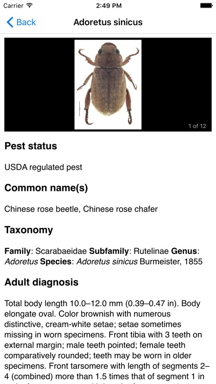 Hawaiian Scarab ID screenshot-4