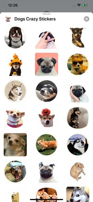 Dogs Crazy Stickers(圖3)-速報App