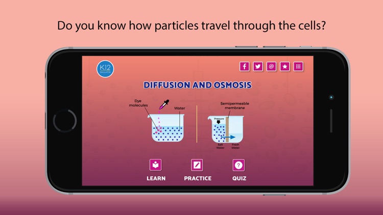 Diffusion and osmosis