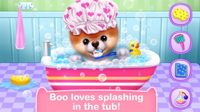 Boo - World's Cutest Dog Game screenshot 4