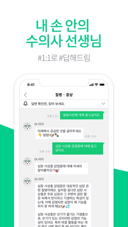 아지냥이