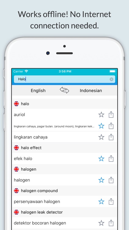 English Indonesian Dictionary+