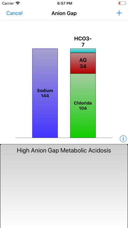 Graphical Arterial Blood Gas