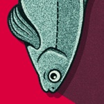 Fishes And Barrels