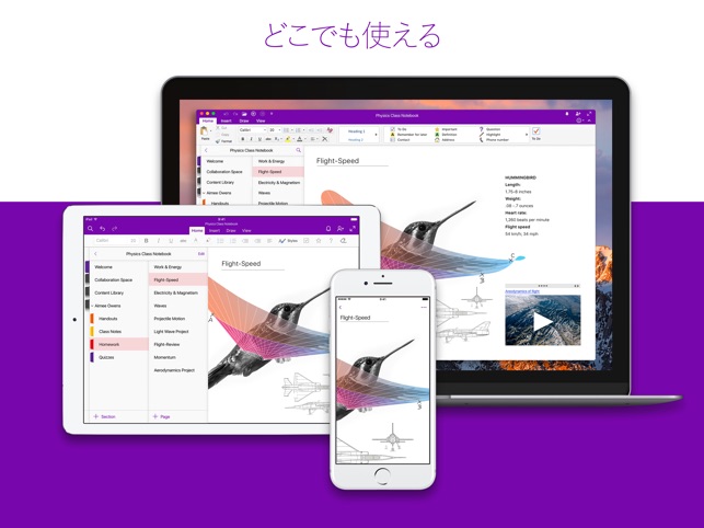 Microsoft OneNote Screenshot