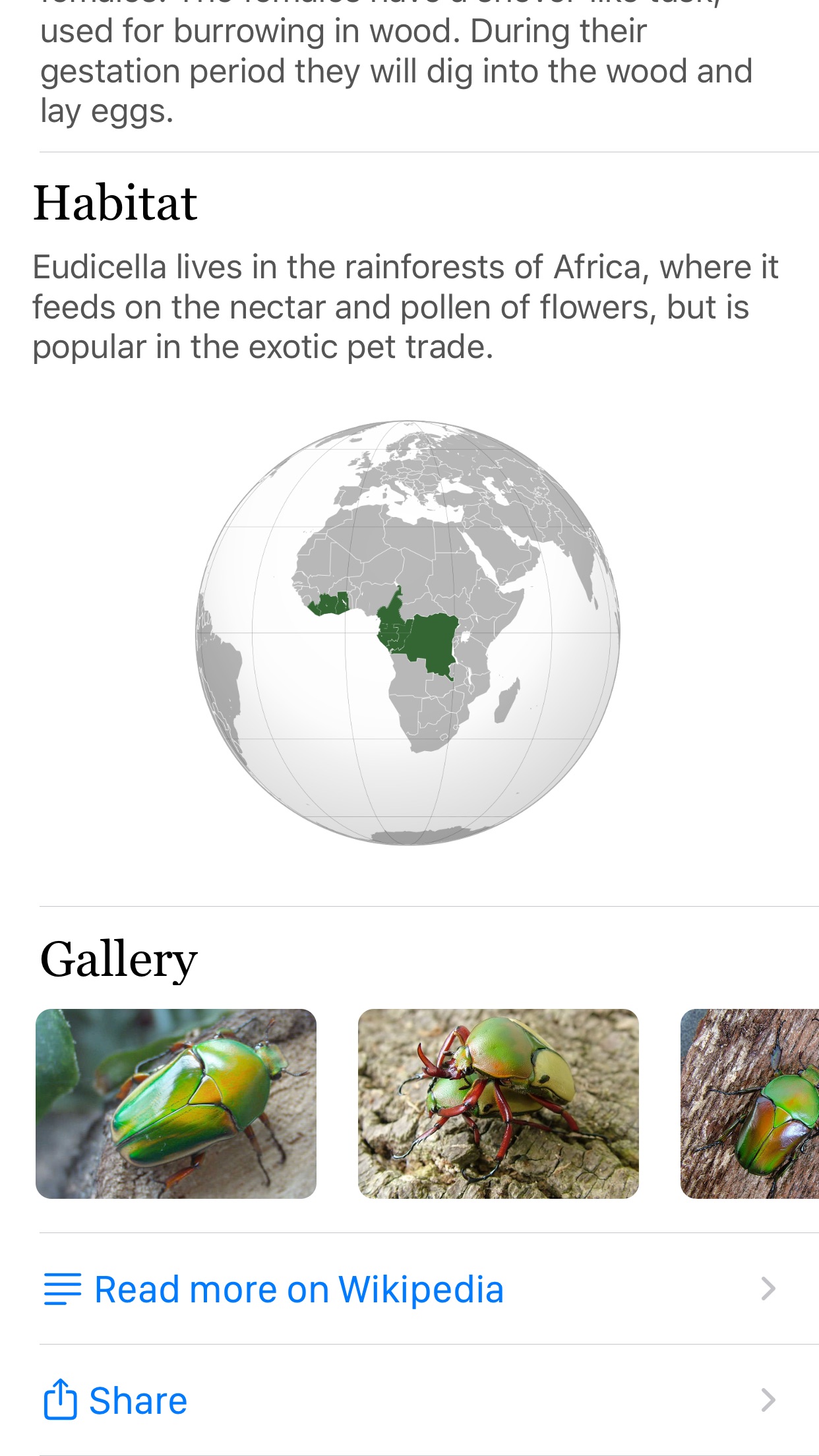 Screenshot do app Insecta: