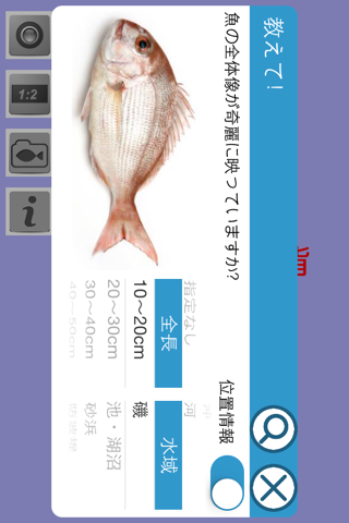 教えて!魚 screenshot 3