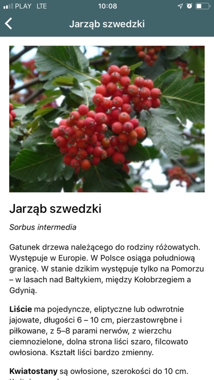 Dzierzgoń - włącz wyobraźnię screenshot-5