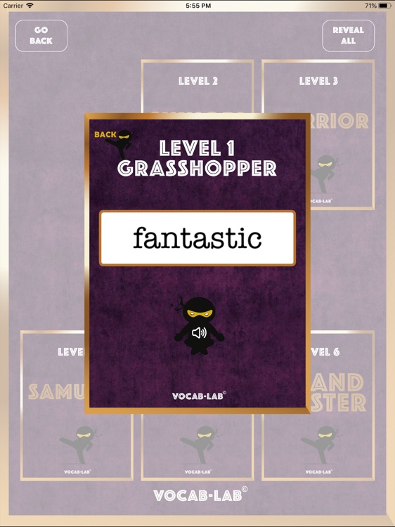 Vocab Lab screenshot-3