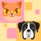 Can you choose between a cat and a dog