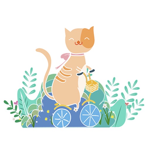 Summer colorful cat