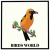 Birds Worlds
