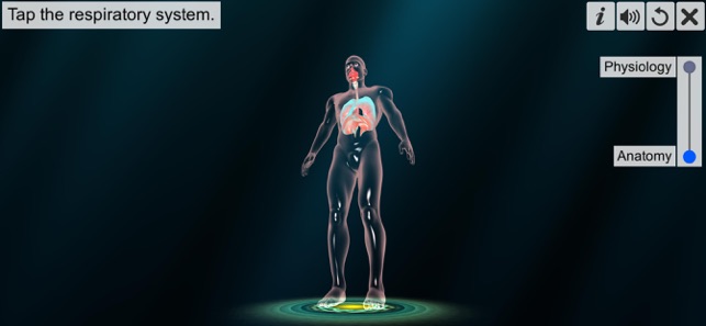 Respiratory system physiology(圖1)-速報App