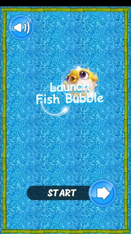 Cute Fish Bubble