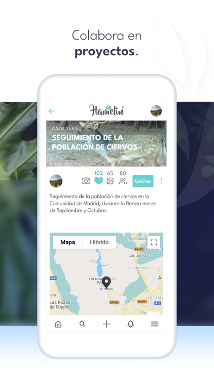 Hamelin Nature Social Network screenshot-4
