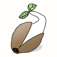 Sprout Grow Log