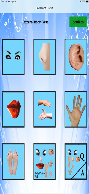 Body Parts - Basic(圖1)-速報App