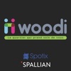 Spotix Woodi