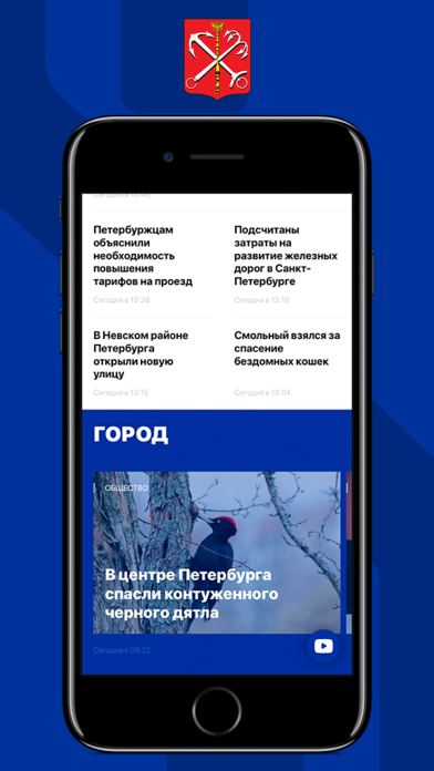Петербургский Дневник screenshot 4