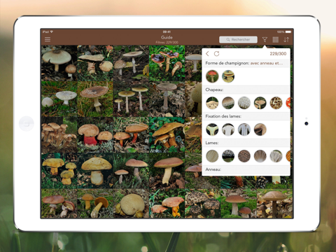 Mushroom LITE - Field Guide screenshot 2