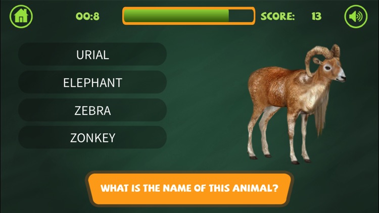Jungle Learning - Animal Jam screenshot-3