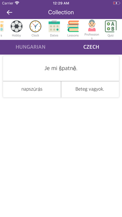 Hungarian Czech Dictionary screenshot 3