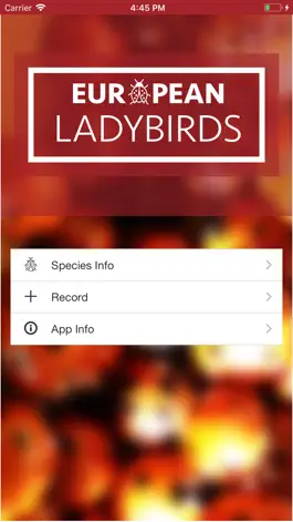 Game screenshot European Ladybirds apk