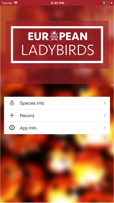European Ladybirds screenshot 2