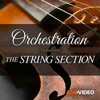 The String Section Course