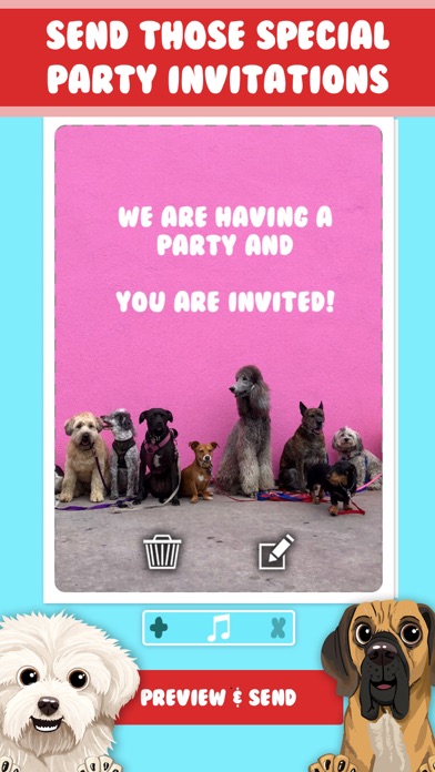 DoggiE Cards screenshot 3