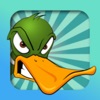 Duck Mania