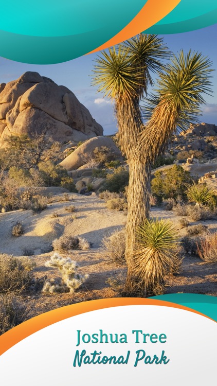 Joshua Tree National Park - US