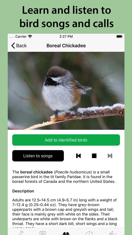 Smart Bird ID screenshot-4