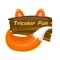 Tricolor Fun is a very fun app