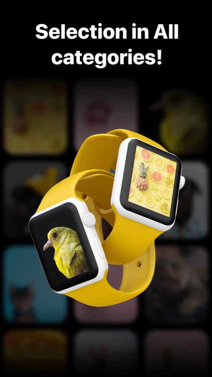 Faces - custom Watch Faces
