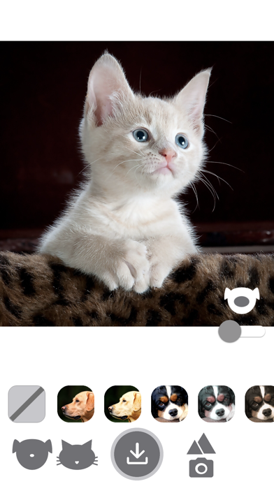 PetEasy - Dog Cat Pet Filter screenshot 4