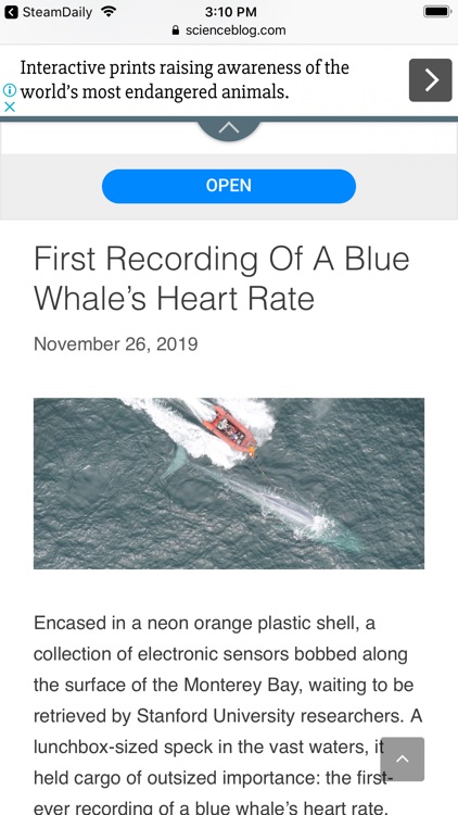 SteamDaily screenshot-5