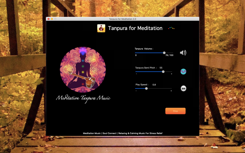 Tanpura - India Instruments thumbnail 2